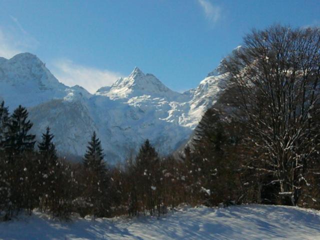 Appartement Haus Lena à Sankt Martin bei Lofer Chambre photo